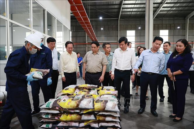 Thủ tướng Phạm Minh Chính thăm Nhà máy chế biến gạo của Công ty TNHH lúa, gạo Việt Nam. Ảnh: Dương Giang-TTXVN
