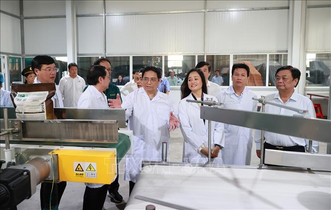Thủ tướng Phạm Minh Chính thăm Nhà máy chế biến gạo của Công ty TNHH lúa, gạo Việt Nam. Ảnh: Dương Giang-TTXVN
