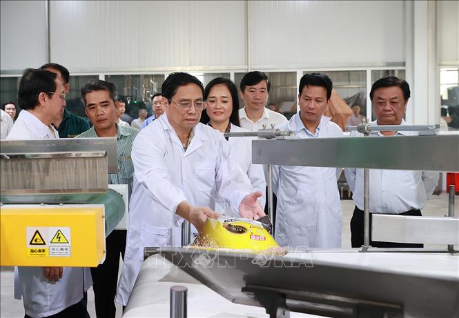 Thủ tướng Phạm Minh Chính thăm Nhà máy chế biến gạo của Công ty TNHH lúa, gạo Việt Nam. Ảnh: Dương Giang-TTXVN
