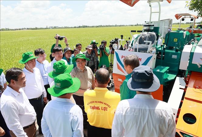 Thủ tướng Phạm Minh Chính khảo sát mô hình nông nghiệp công nghệ cao, sản xuất lúa của hợp tác xã dịch vụ nông nghiệp Thắng Lợi. Ảnh: Dương Giang-TTXVN
