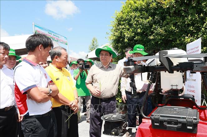 Thủ tướng Phạm Minh Chính khảo sát mô hình nông nghiệp công nghệ cao, sản xuất lúa của hợp tác xã dịch vụ nông nghiệp Thắng Lợi. Ảnh: Dương Giang-TTXVN
