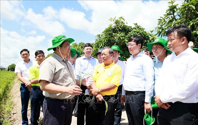 Thủ tướng Phạm Minh Chính trao đổi với nông dân sản xuất lúa của hợp tác xã dịch vụ nông nghiệp Thắng Lợi. Ảnh: Dương Giang-TTXVN
