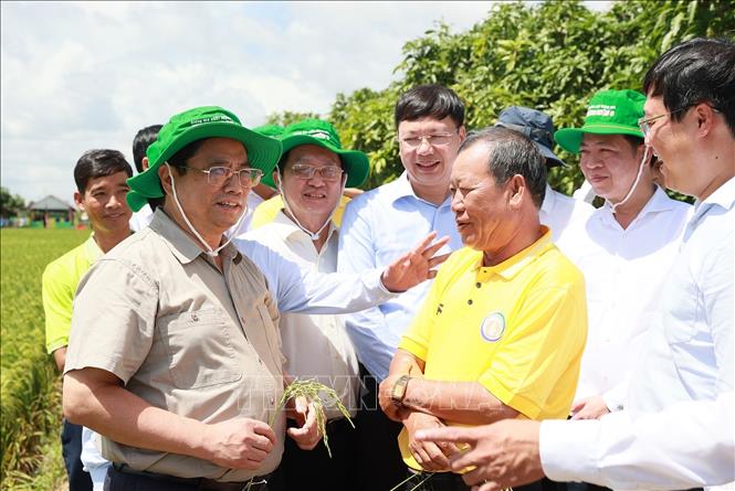 Thủ tướng Phạm Minh Chính trao đổi với nông dân sản xuất lúa của hợp tác xã dịch vụ nông nghiệp Thắng Lợi. Ảnh: Dương Giang-TTXVN
