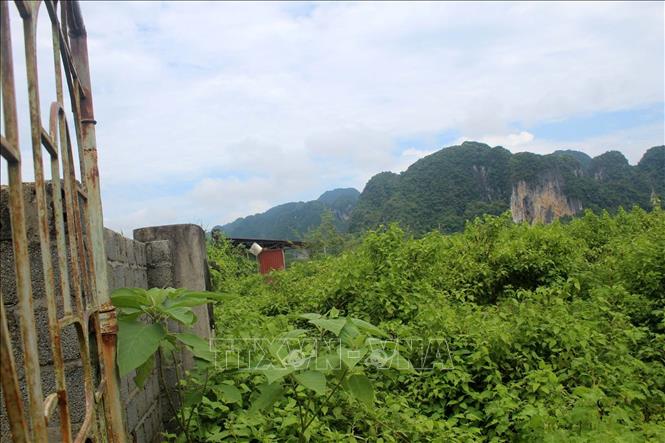 Đơn vị thi công xây dựng Nhà máy xi măng Thanh Sơn mới thực hiện san lấp mặt bằng, khoan cọc nhồi và xây tường rào, sau đó ngừng thi công. Ảnh: Nguyễn Nam-TTXVN