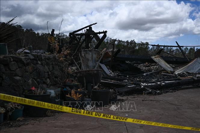 Nhiều ngôi nhà bị thiêu rụi do cháy rừng tại Kula, Hawaii, Mỹ, ngày 13/8/2023. Ảnh: AFP/TTXVN