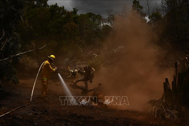 Lực lượng cứu hỏa nỗ lực dập lửa cháy rừng tại Kula, Hawaii, Mỹ, ngày 13/8/2023. Ảnh: AFP/TTXVN