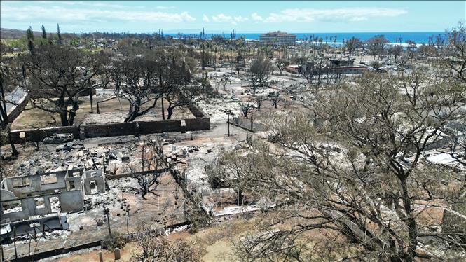 Nhiều ngôi nhà bị thiêu rụi do cháy rừng tại Lahaina, Maui, Hawaii, Mỹ, ngày 11/8/2023. Ảnh: AFP/TTXVN