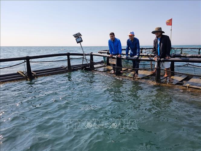 Farmer Nguyen Ba Ngoc introduces in squid farming model to other farmers. VNA Photo: Nguyễn Thành