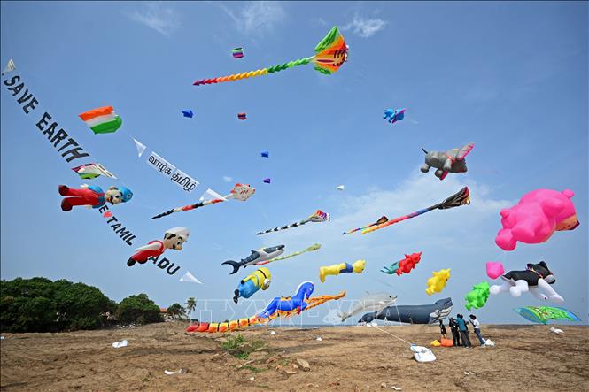 Lễ hội thả diều quốc tế Tamil Nadu diễn ra tại thành phố Mamallapuram của Ấn Độ từ ngày 12-14/8/2023, thu hút đông đảo người tham gia. Tại lễ hội, những con diều hoạt hình ngộ nghĩnh, độc đáo bay vút lên cao tạo nên một khung cảnh vui nhộn. Ảnh: AFP/TTXVN