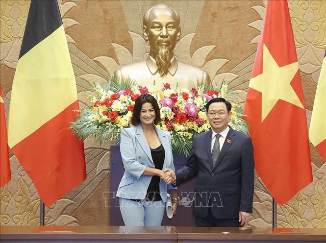 Chủ tịch Quốc hội Vương Đình Huệ và Chủ tịch Thượng viện Vương quốc Bỉ Stéphanie D'Hose. Ảnh: Doãn Tấn - TTXVN 