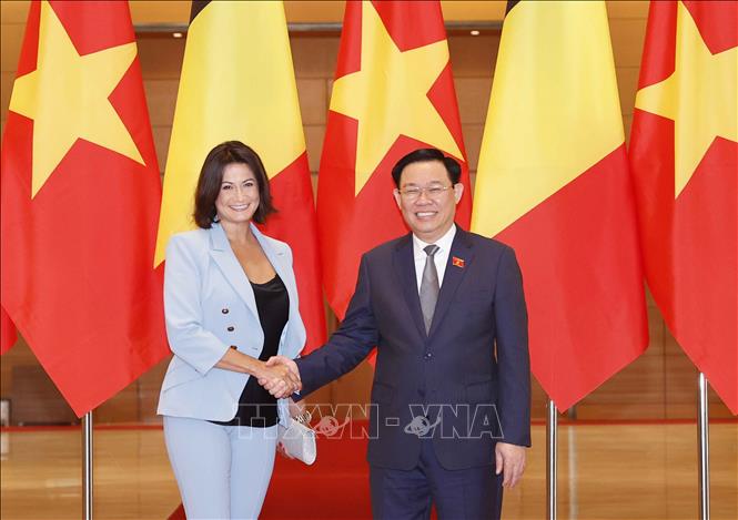 Chủ tịch Quốc hội Vương Đình Huệ và Chủ tịch Thượng viện Vương quốc Bỉ Stéphanie D'Hose. Ảnh: Doãn Tấn - TTXVN 