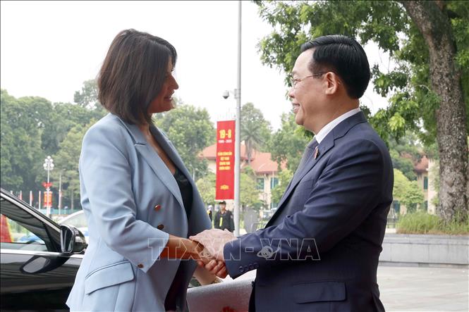 Chủ tịch Quốc hội Vương Đình Huệ đón Chủ tịch Thượng viện Vương quốc Bỉ Stéphanie D'Hose. Ảnh: Doãn Tấn - TTXVN 