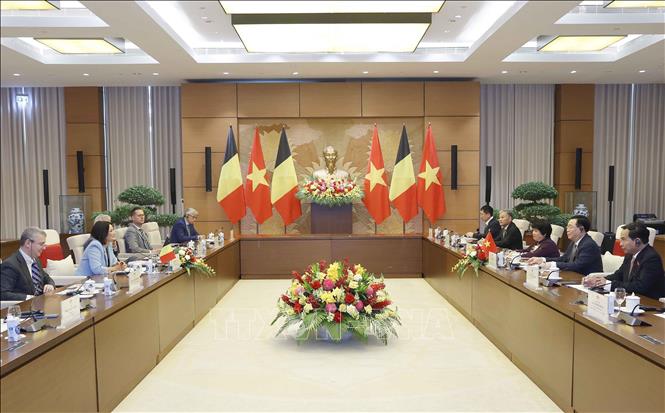 Chủ tịch Quốc hội Vương Đình Huệ hội đàm với Chủ tịch Thượng viện Bỉ Stéphanie D'Hose. Ảnh: Doãn Tấn - TTXVN