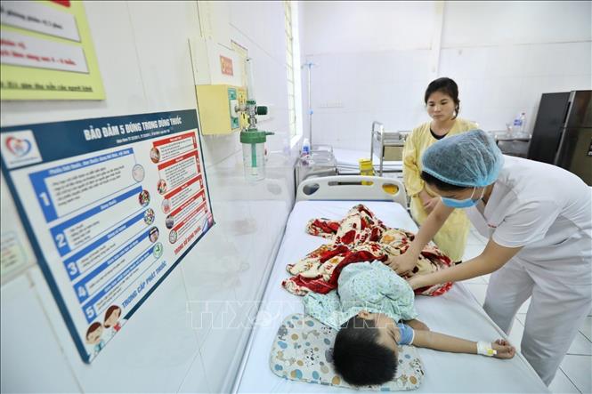 Chủng gây sốt xuất huyết lần này khác so với lần trước. Ảnh: Minh Quyết - TTXVN