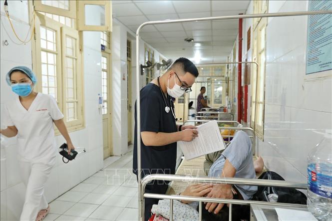 Số ca mắc sốt xuất huyết tại Hà Nội tăng nhanh do điều kiện thời tiết thuận lợi cho sự phát triển của muỗi truyền bệnh. Ảnh: Minh Quyết - TTXVN