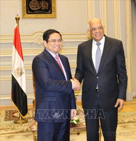Trưởng Ban Tổ chức Trung ương Phạm Minh Chính hội kiến Chủ tịch Quốc hội Ai Cập Ali Abdel-Aal trong chuyến thăm và làm việc tại Ai Cập (2019). Ảnh: Anh Tuấn - TTXVN 