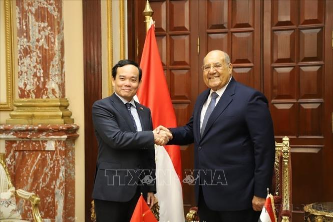 Phó Thủ tướng Trần Lưu Quang hội kiến Chủ tịch Thượng viện Ai Cập Abdel-Wahab Abdel-Razek (2023). Ảnh: Nguyễn Trường - TTXVN 