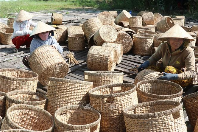 Đồng Tháp: Nghề đan lục bình giúp hàng nghìn lao động huyện Cao Lãnh tăng thu nhập - Ảnh thời sự trong nước - Kinh tế - Thông tấn xã Việt Nam (TTXVN)