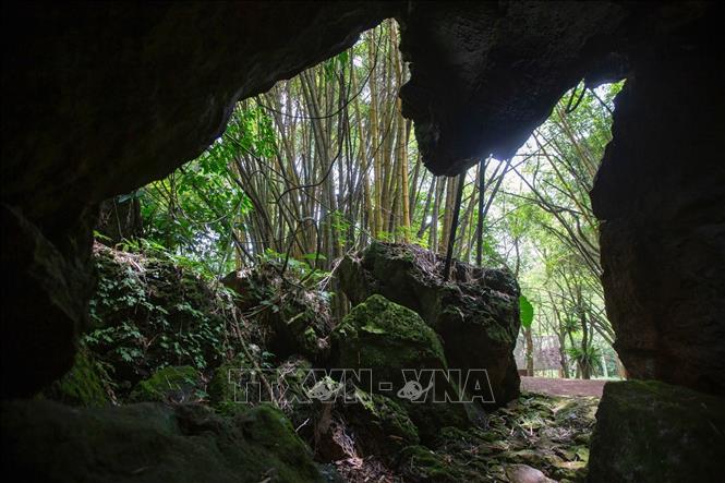 Lối vào động Tiên Phi đi qua một khe đá hẹp hơi thoai thoải dốc về phía trong. Từ ngoài đi thêm khoảng 10 m bậc thang dốc sẽ gặp một vòm động cao ráo, thoáng mát. Ảnh: Trọng Đạt-TTXVN