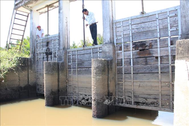 Đập ngăn mặn, trữ ngọt Đồng Hương tại xã Bình Nguyên (Bình Sơn, Quảng Ngãi) đã bị hư hỏng nặng. Ảnh: Đinh Hương - TTXVN