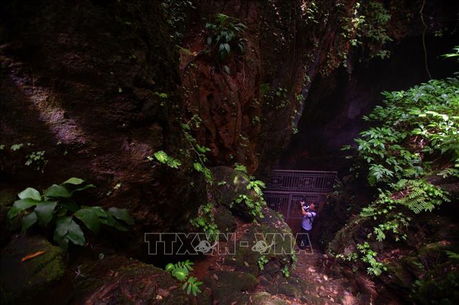 Tien Phi cave is pristine and surrounded by lush greenery. VNA Photo: Trọng Đạt
