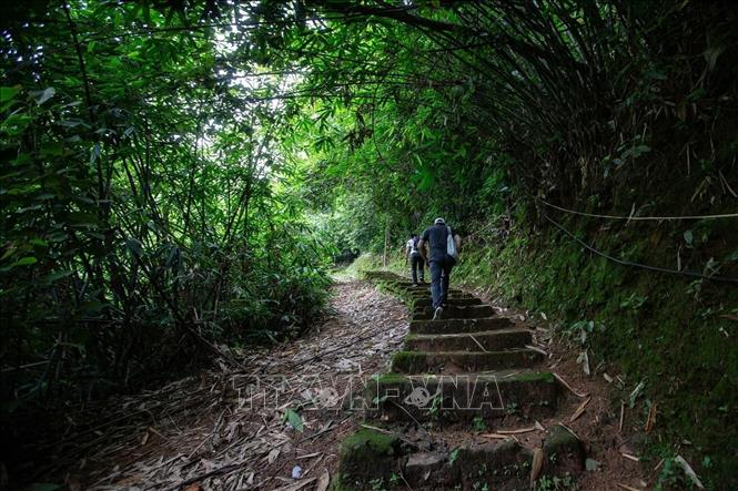 The stone paths to Tien Phi cave needs renovation to ensure a safe walk for travelers. VNA Photo: Trọng Đạt