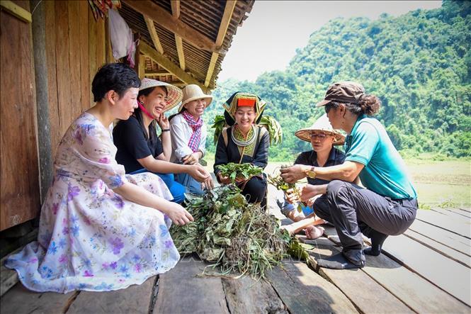 Đồng bào dân tộc Dao tại thông Lân Châu (Hữu Lũng, Lạng Sơn) giới thiệu những sản vật với đoàn khảo sát. Ảnh: TTXVN phát