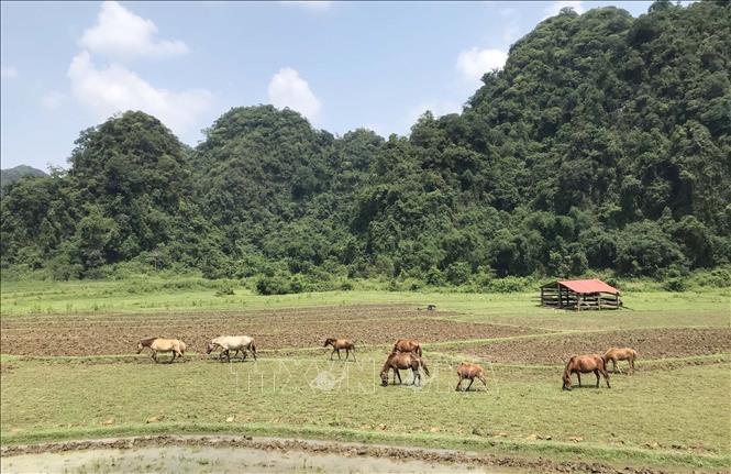 Phong cảnh yên bình của thôn Lân Châu (Hữu Lũng, Lạng Sơn). Ảnh: TTXVN phát