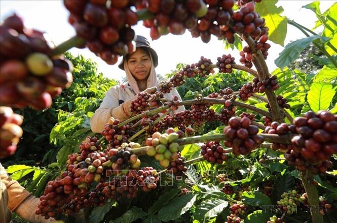 Kinh tế - xã hội là một trong những điểm nhấn quan trọng nửa đầu nhiệm kỳ Đại hội XIII của Đảng. Mặc dù gặp nhiều khó khăn, Việt Nam là một điểm sáng 