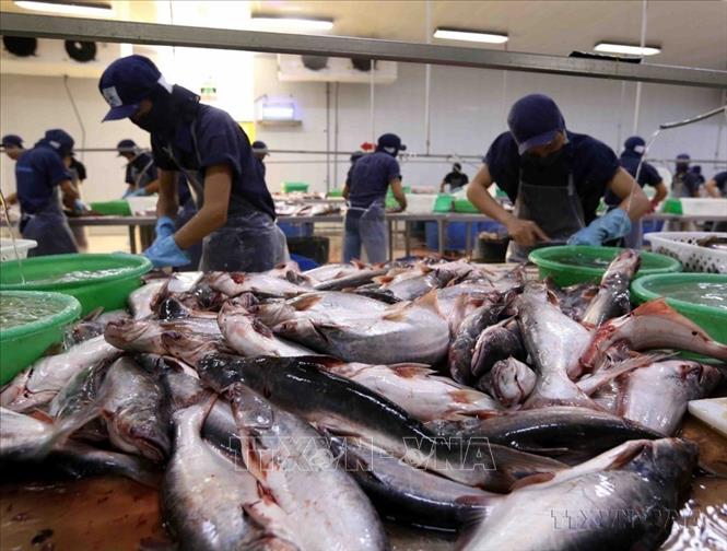Kinh tế - xã hội là một trong những điểm nhấn quan trọng nửa đầu nhiệm kỳ Đại hội XIII của Đảng. Mặc dù gặp nhiều khó khăn, Việt Nam là một điểm sáng 