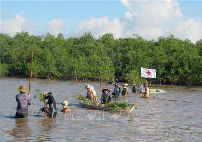Lễ ra quân trồng 20 ha rừng ngập mặn ven biển huyện Trần Đề, tỉnh Sóc Trăng. Ảnh: Trung Hiếu - TTXVN