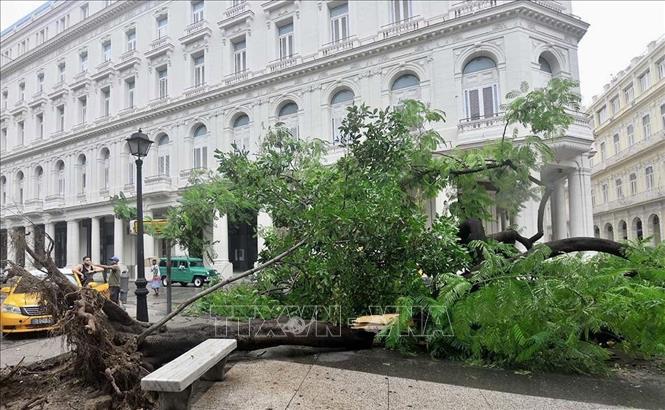 Cây và cột điện đổ ngổn ngang ở thủ đô La Habana. Ảnh: Mai Phương - Pv TTXVN tại La Habana 