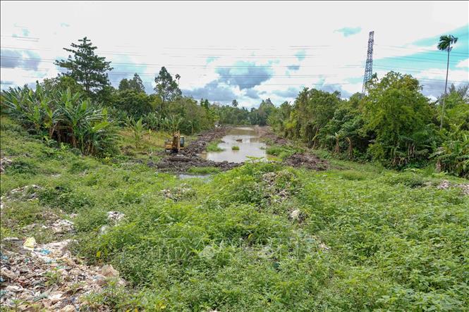 Ngưng hoạt động hơn 23 năm nên bãi rác Đông Thạnh hiện nay đã được cây cối phủ xanh, không còn mùi hôi thối. Ảnh: Thanh Liêm - TTXVN