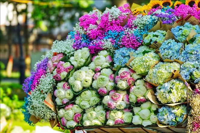 Những xe hoa rực rỡ sắc màu đã trở thành một nét đẹp bình dị, độc đáo, đặc trưng của phố phường Hà Nội trong tiết trời Thu. Ảnh: Khánh Hoà - TTXVN