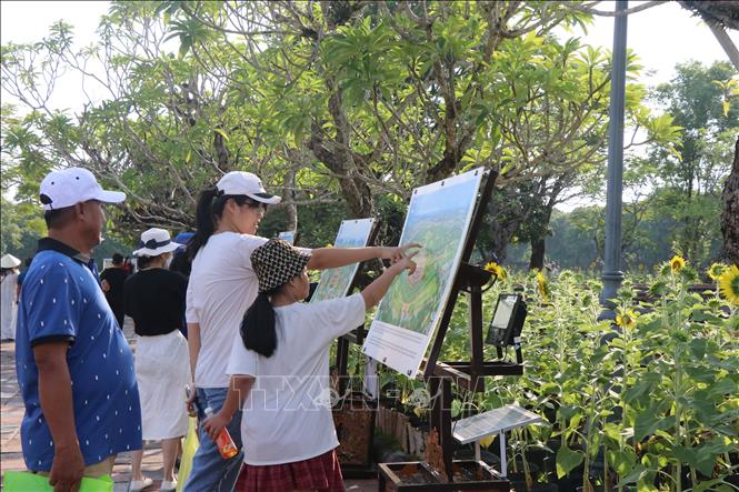 Nhiều sản phẩm du lịch hấp dẫn trong Đại Nội Huế. Ảnh: Tường Vi - TTXVN