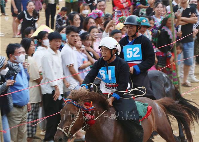 The speed of the race horses astonishes watchers at the festival. VNA Photo: Nguyễn Oanh