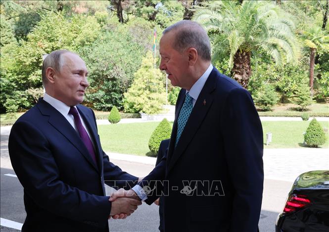 Tổng thống Nga Vladimir Putin (trái) và Tổng thống Thổ Nhĩ Kỳ Recep Tayyip Erdogan trong cuộc gặp ở Sochi (Nga), ngày 4/9/2023. Ảnh: AFP/TTXVN