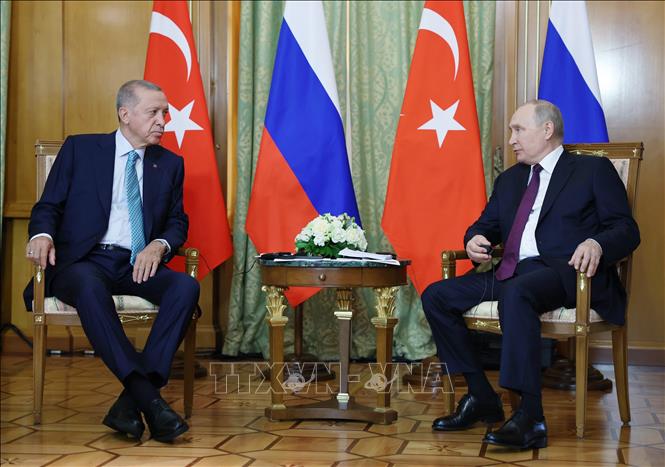 Tổng thống Nga Vladimir Putin (phải) và Tổng thống Thổ Nhĩ Kỳ Recep Tayyip Erdogan trong cuộc gặp ở Sochi (Nga), ngày 4/9/2023. Ảnh: Anadolu/TTXVN