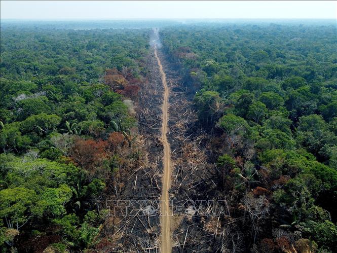 (Tư liệu) Khoảng rừng Amazon bị đốt phá tại Humaita, bang Amazonas, Brazil. Ảnh: AFP/TTXVN