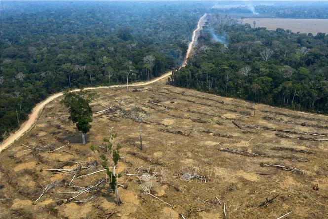 (Tư liệu) Khoảng rừng Amazon bị đốt phá tại Porto Velho, bang Rondonia, Brazil. Ảnh: AFP/TTXVN