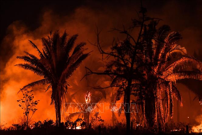 (Tư liệu) Khói lửa bốc lên từ đám cháy rừng Amazon tại Itaituba, bang Para, Brazil. Ảnh: AFP/TTXVN
