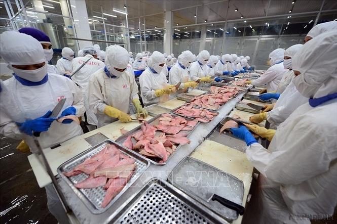 Kinh tế - thương mại là điểm sáng và cũng là trụ cột ưu tiên của quan hệ đối tác chiến lược Việt Nam - Anh. Các mặt hàng Việt Nam có lợi thế xuất khẩu sang Anh, bao gồm thủy, hải sản.... Ảnh: Phan Tuấn Anh - TTXVN