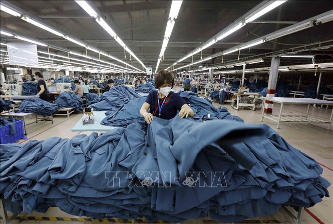 Kinh tế - thương mại là điểm sáng và cũng là trụ cột ưu tiên của quan hệ đối tác chiến lược Việt Nam - Anh. Các mặt hàng Việt Nam có lợi thế xuất khẩu sang Anh, bao gồm thủy, hải sản, gỗ và sản phẩm gỗ, hàng dệt may, giày dép, thiếc, máy vi tính, điện thoại và linh kiện điện tử. Ảnh: Trần Việt - TTXVN
