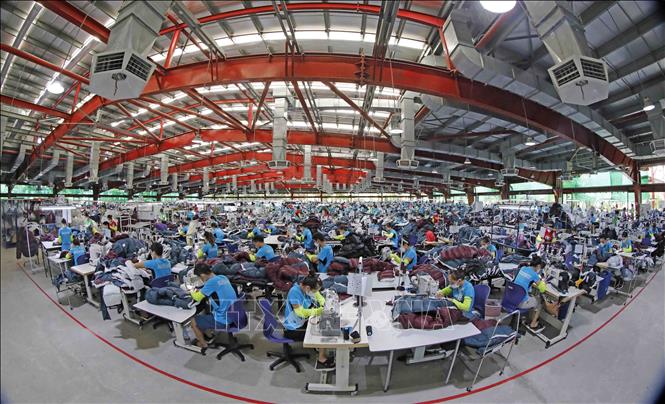 Xưởng may quần áo xuất khẩu tại Công ty Maxport Thái Bình. Ảnh: Trần Việt - TTXVN