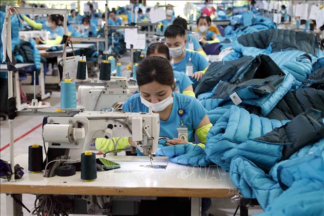 May hàng xuất khẩu tại Công ty Maxport Thái Bình. Ảnh: Trần Việt - TTXVN