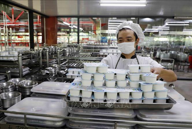 Chuẩn bị bữa ăn trưa cho công nhân tại Công ty Maxport Thái Bình. Ảnh: Trần Việt - TTXVN