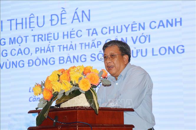 Ông Lê Thanh Tùng, Phó Cục trưởng Cục Trồng trọt, trình bày tại Hội thảo. Ảnh: Ngọc Thiện- TTXVN.
