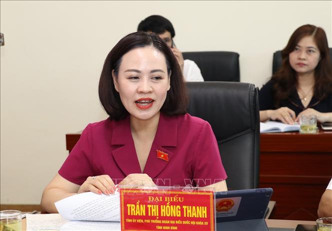 Bà Trần Thị Hồng Thanh, Ủy viên Ban Chấp hành Tỉnh ủy, Phó trưởng Đoàn Đại biểu Quốc hội khóa XV tỉnh Ninh Bình, báo cáo tại buổi giám sát. Ảnh: Đức Phương - TTXVN