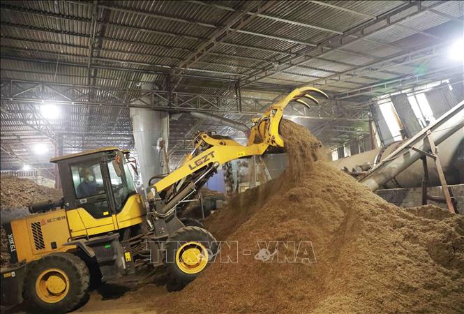 The Tinh Tam pellet producing factory in Phu Luong district, the northern province of Thai Nguyen exports some 700 tonnes of pellet to the RoK per month. VNA Photo