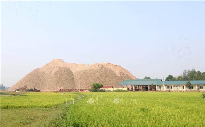 A pellet producing factory in Gio Mai commune, Gio Linh district, the central province of Quang Tri. VNA Photo